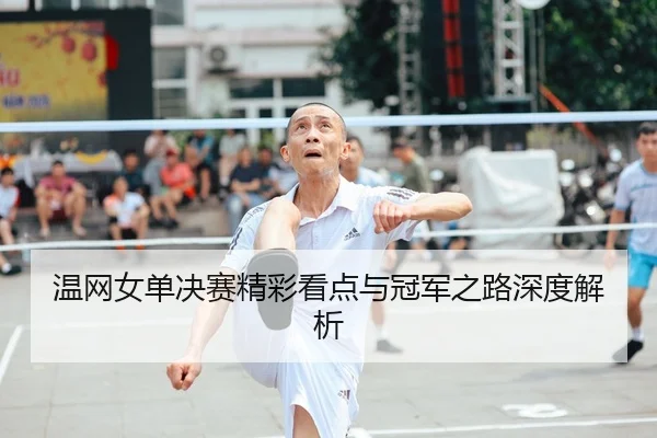 温网女单决赛精彩看点与冠军之路深度解析