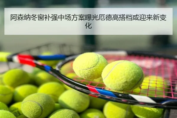 阿森纳冬窗补强中场方案曝光厄德高搭档或迎来新变化